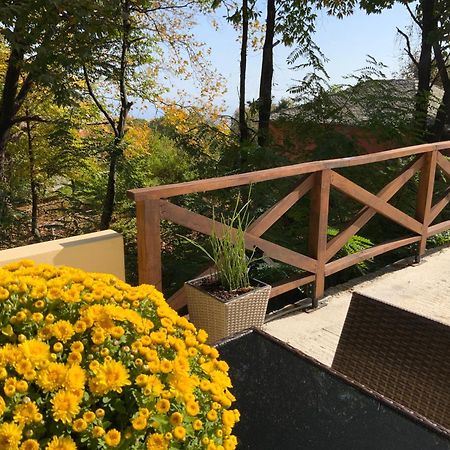 Villa Pelion 7 Lives Tsagarada Esterno foto